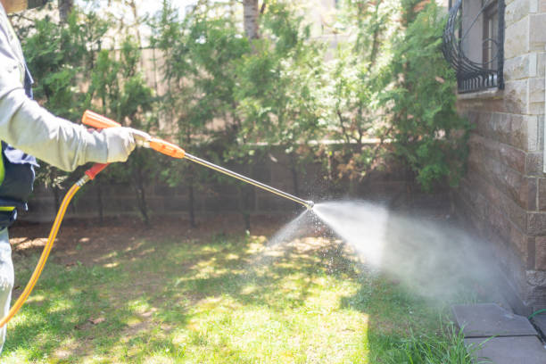 Best Pest Control for Multi-Family Homes  in Home Gardens, CA